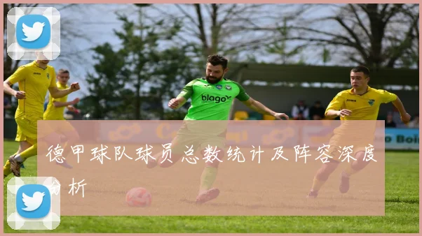 德甲球队球员总数统计及阵容深度分析