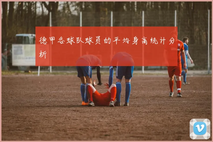 德甲各球队球员的平均身高统计分析