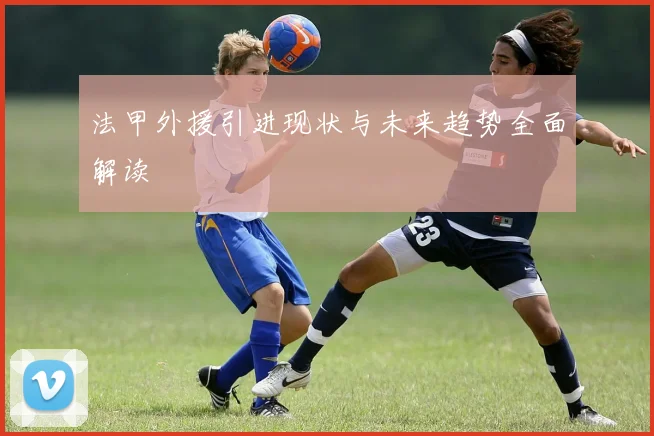 法甲外援引进现状与未来趋势全面解读